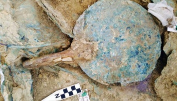 Уникальная находка археологов: четыре "кольца власти" в древней могиле греческого воина