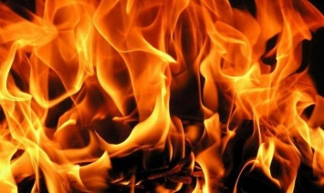 На пожарах в Украине погибли более 1100 человек