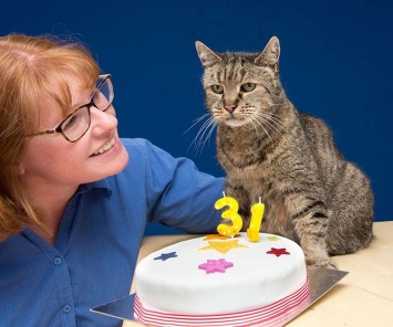Самый старый кот в мире отпраздновал 31-ый день рождения