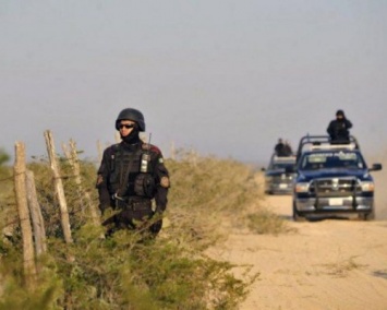 В тайном захоронении в Мексике найдены останки более 600 человек