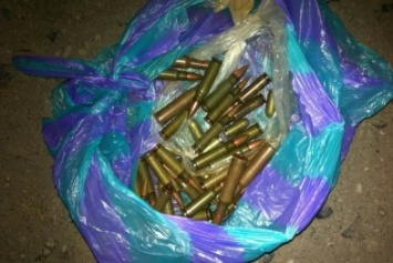 За день полицейские в Николаевке выявили боеприпасы и раскрыли кражу