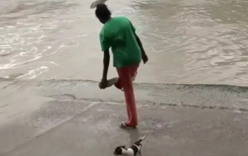Смелая женщина пригрозила крокодилу тапком (ВИДЕО)
