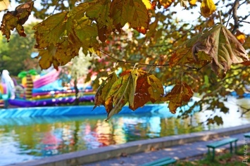 В Одессу ненадолго вернулась солнечная погода: фотозарисовка из осеннего парка