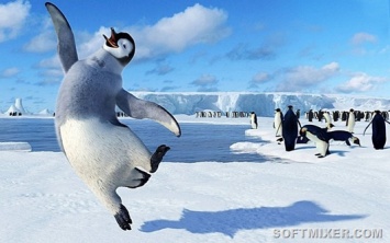 Ученые пояснили, почему пингвины не летают