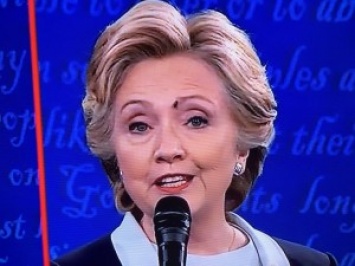 У мухи, которая во время дебатов села на бровь Хиллари Клинтон, появился аккаунт в Twitter