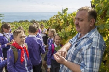 Артековцы внесли свою лепту в виноградный урожай 2016 года