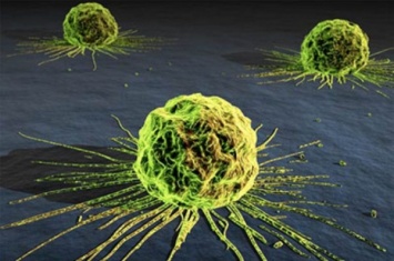 Ученые нашли генетическую связь между метаболизмом и раком