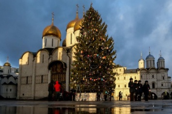 Стоимость главной новогодней елки России составит почти 6 миллионов рублей