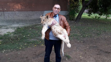 Николаевский зоопарк пополнился двумя львятами