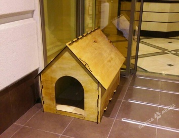 В Одессе собаке подарили жилье в новострое (фото)