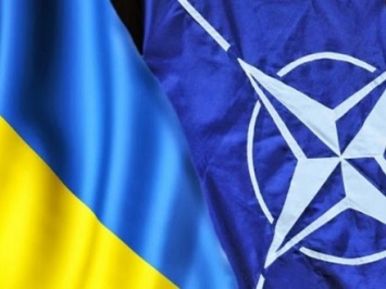 Эксперты НАТО с военного образования начали работу в Украине