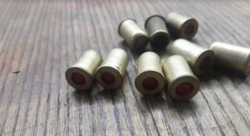 На Сумщине четырехлапый "пограничник" обнаружил патроны к травматическому оружию (+фото)