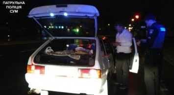 Сумские патрульные остановили пьяного и голодного водителя (+фото)