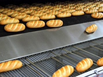 Госпродпотребслужба проверит столичных производителей хлеба