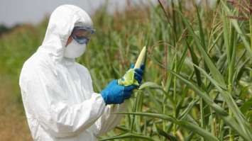 Ученые представили прибор для выявления ГМО в дикой природе