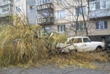 Появились первые жертвы шторма в Одессе (видео)
