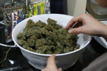 Полиция задержала поклонника марихуаны из Херсонской области