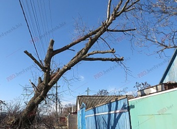 В Бердянске шторм ударил по электросетям