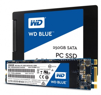 Western Digital представила свои первые SSD-накопители WD Green и WD Blue