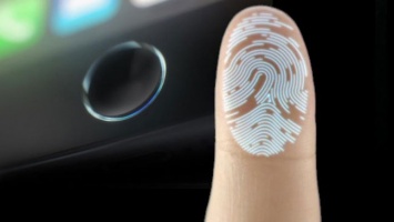 Россиян попросят пройти биометрическую идентификацию