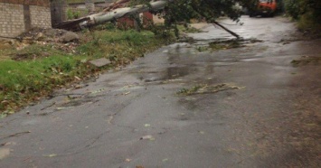 Непогода в Николаеве валила столбы и ломала деревья