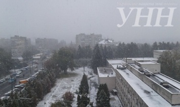 Снег выпал в Винницкой области