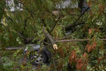 Утро одесситов: автомобили придавлены упавшими деревьями (ФОТО)