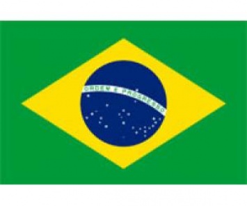 Бразилия, 30-й тур: Ботафого выходит на пятое место