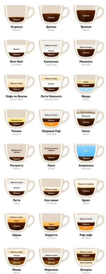 Для истинных ценителей кофе: все виды напитка на одной картинке. Стань экспертом!