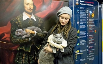Британский кот стал одним из первых пассажиров "шекспировского поезда" в Москве