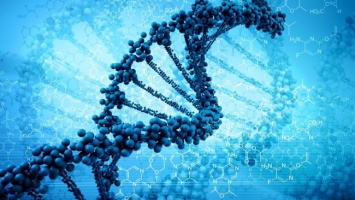 Важнейшая задача синтетических биологов: написать первый человеческий геном к 2026 году