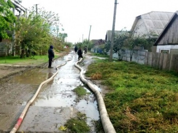 Из-за непогоды в Одесской области повалено более 500 деревьев