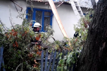 По Буковине и Черкасской области прошелся ураган. Обесточены села, повалены деревья