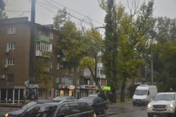 На проспекте Шевченко деревья упали одесситам в окна (ФОТО)