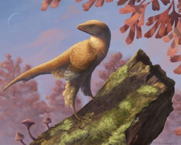 Ученые выяснили, как звучали голоса первых птиц и динозавров