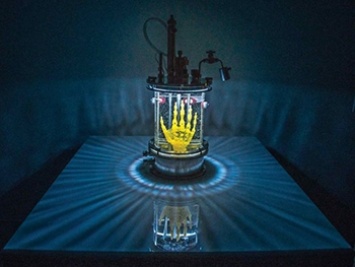 На стыке науки и искусства происходит эксперимент по выращиванию кисти руки