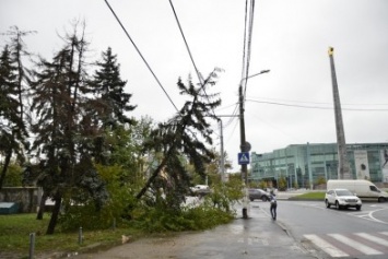 Ураган наделал бед в одесском Парке Победы (ФОТО)