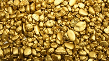 В Приамурье мужчине грозит 5 лет тюрьмы за хранение 880 граммов золота