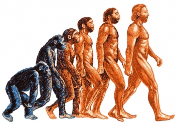 Ученые разработали цифровую модель эволюции человека