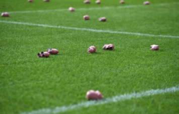 Фанаты выкинули на поле сотни свиней и сорвали футбольный матч
