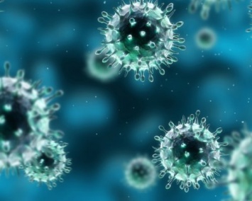 ВОЗ: В Россию зимой придет несколько видов вируса гриппа