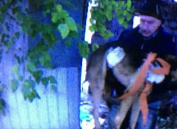 Патрульные вытащили собаку из погреба в Днепре