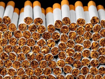 На Буковине пограничники обнаружили 18 пакетов табачной контрабанды
