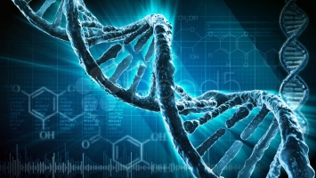 Витамины А и С полезны для ДНК