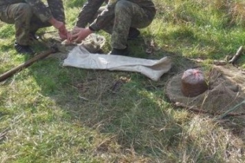 На Херсонщине пограничники за последние сутки задержали трех браконьеров