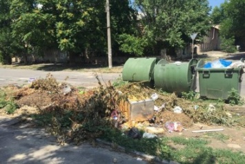 Депутат Херсонского горсовета про наплыв мусора: "Контейнеры без техники ситуацию не спасут"