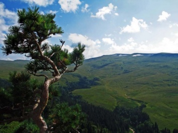В Краснодарском крае в горах погиб турист, пытаясь сделать селфи