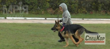 Запорожские служебные собаки заняли первое место во всеукраинском чемпионате