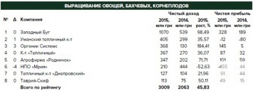 Николаевская компания "Органик системз" вошла в пятерку крупнейших производителей овощей