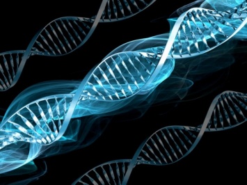 Ученые назвали способ определения генетической предрасположенности к раку
